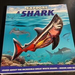 Explore a Shark Book